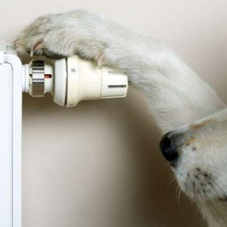 kfj6i6glcRcEDpAK5Ktl.r695x430