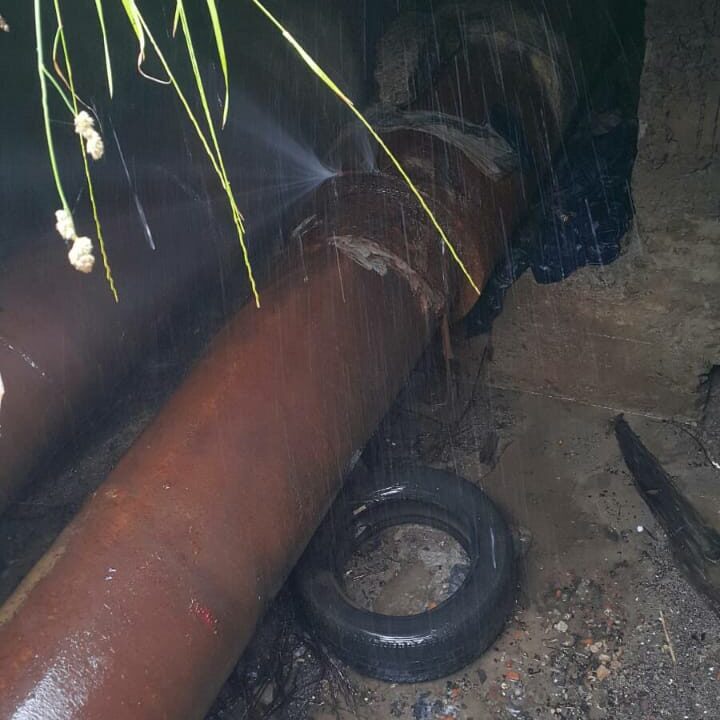 WhatsApp Image 2020-07-03 at 17.04.50