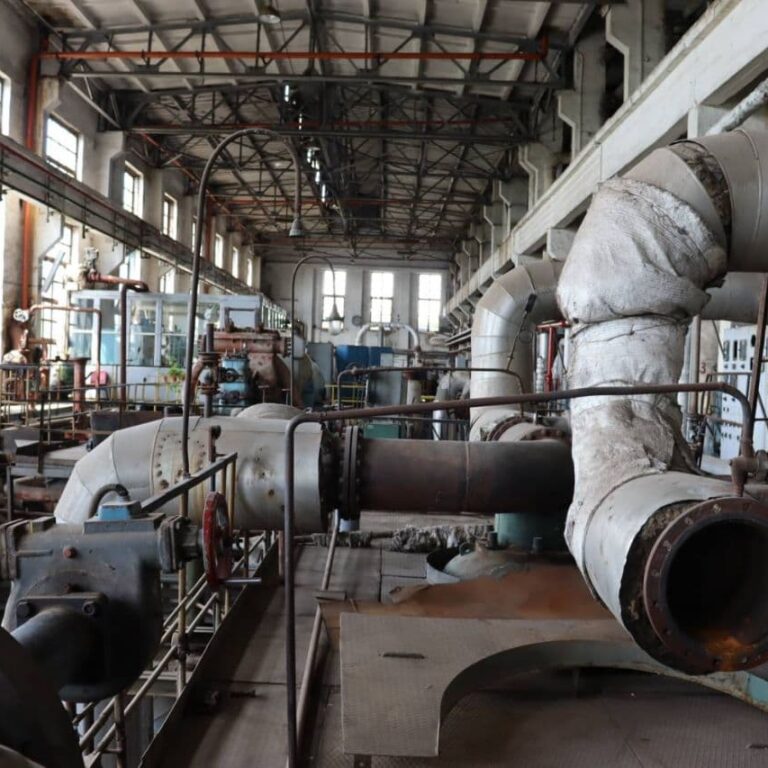 photo_2021-08-05_13-45-36